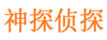 白玉市侦探公司